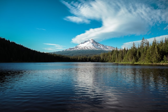 Top Colleges in Oregon