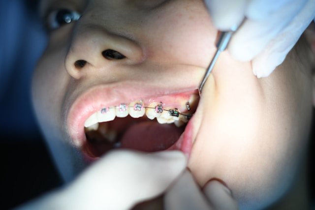 Top Dental Schools in Florida