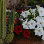 Mesa Graduates Top Job Hunting Tips